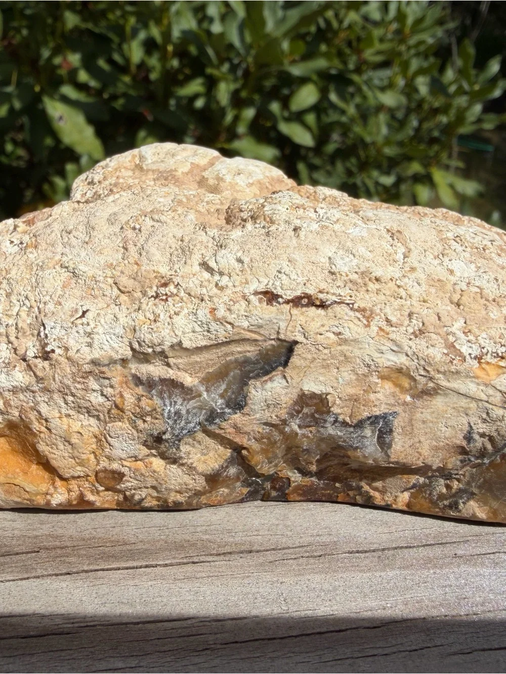 Large Polished Agate with Display Stand